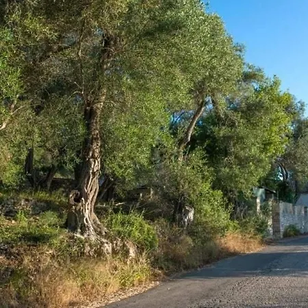 Efthimia Villa *